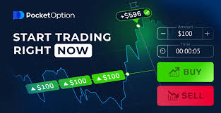Comprehensive Guide to the Trading Platform Pocket Option