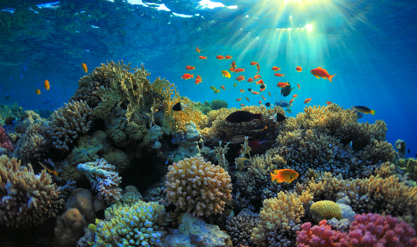 We support sustainable tourism